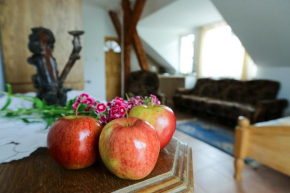 Aktywna Agroturystyka in Stare Jablonki